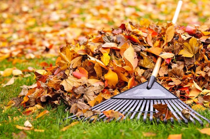 Leaf Drop-Off Sites
