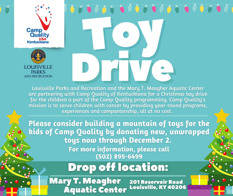 Toy drive 