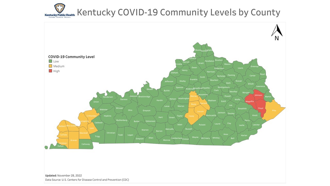 confirmed cases december 2022 1