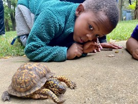 camp photo with turtle