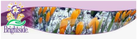 brightside