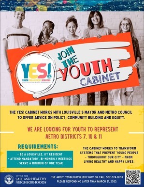 YES! Youth Cabinet Lost Districts Flyer