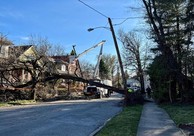damage due to storms