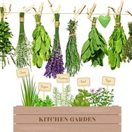 cooking with herbs