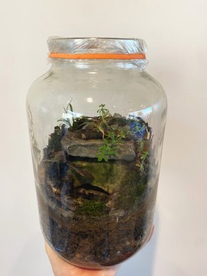 terrarium photo
