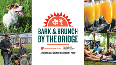 barkandbrunch