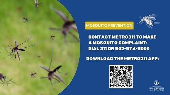 mosquito reporting
