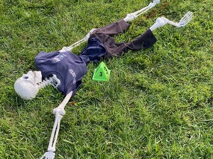 NNO Skeleton