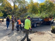 LNC tree giveaway photo