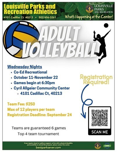 adult volleyball leagues 