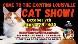 catshow