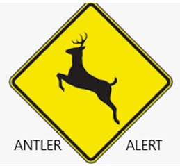antler
