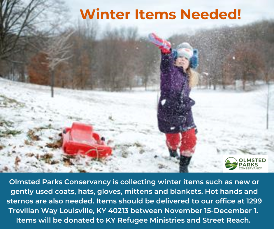 winter item collection