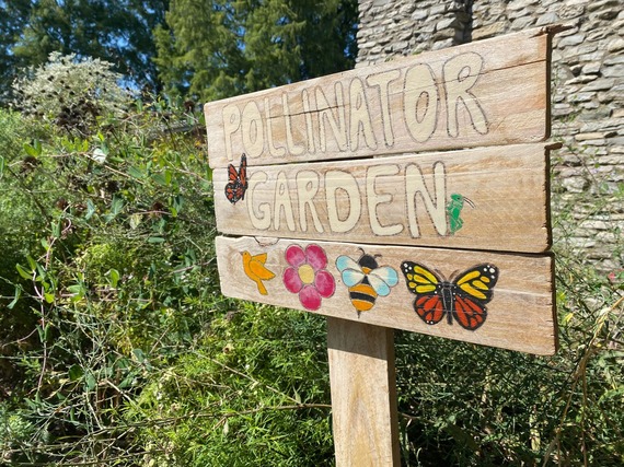 pollinatorGarden