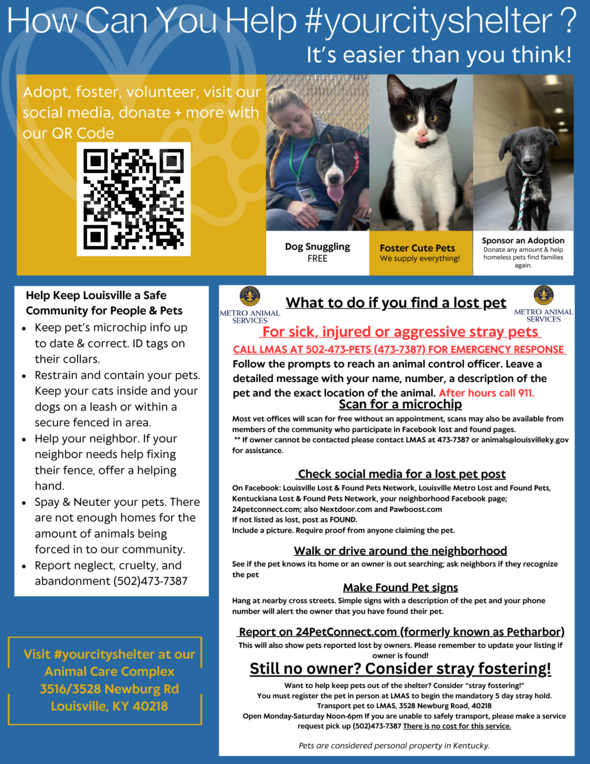 Humane Society Flyer