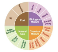 Smell wheel