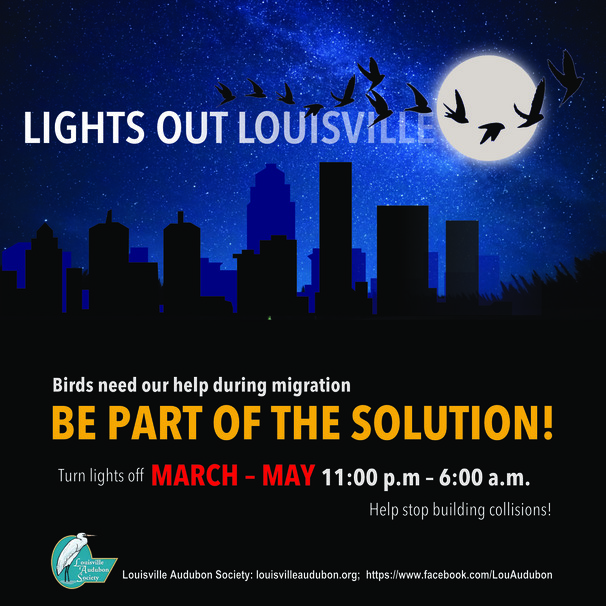 Lights Out Louisville