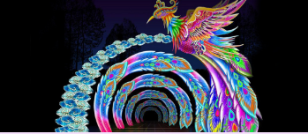 Wild Nights lantern bird tunnel