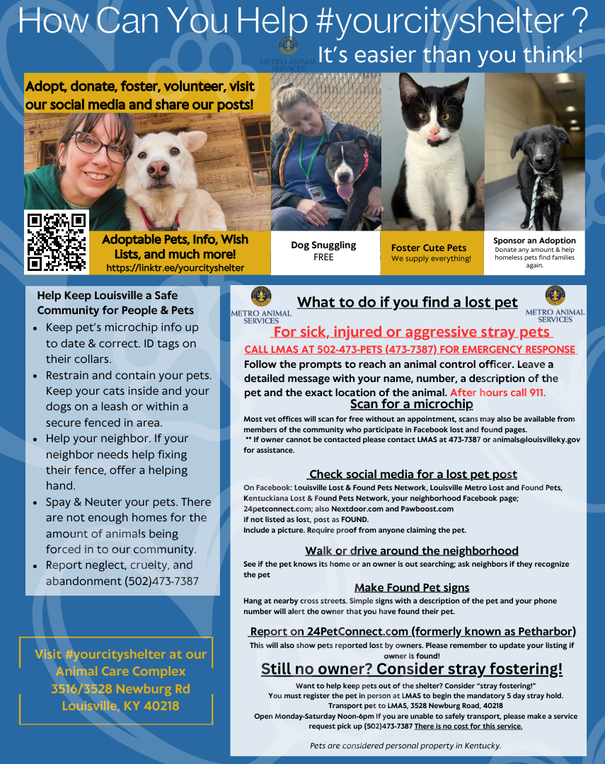 LMAS how you can help flyer