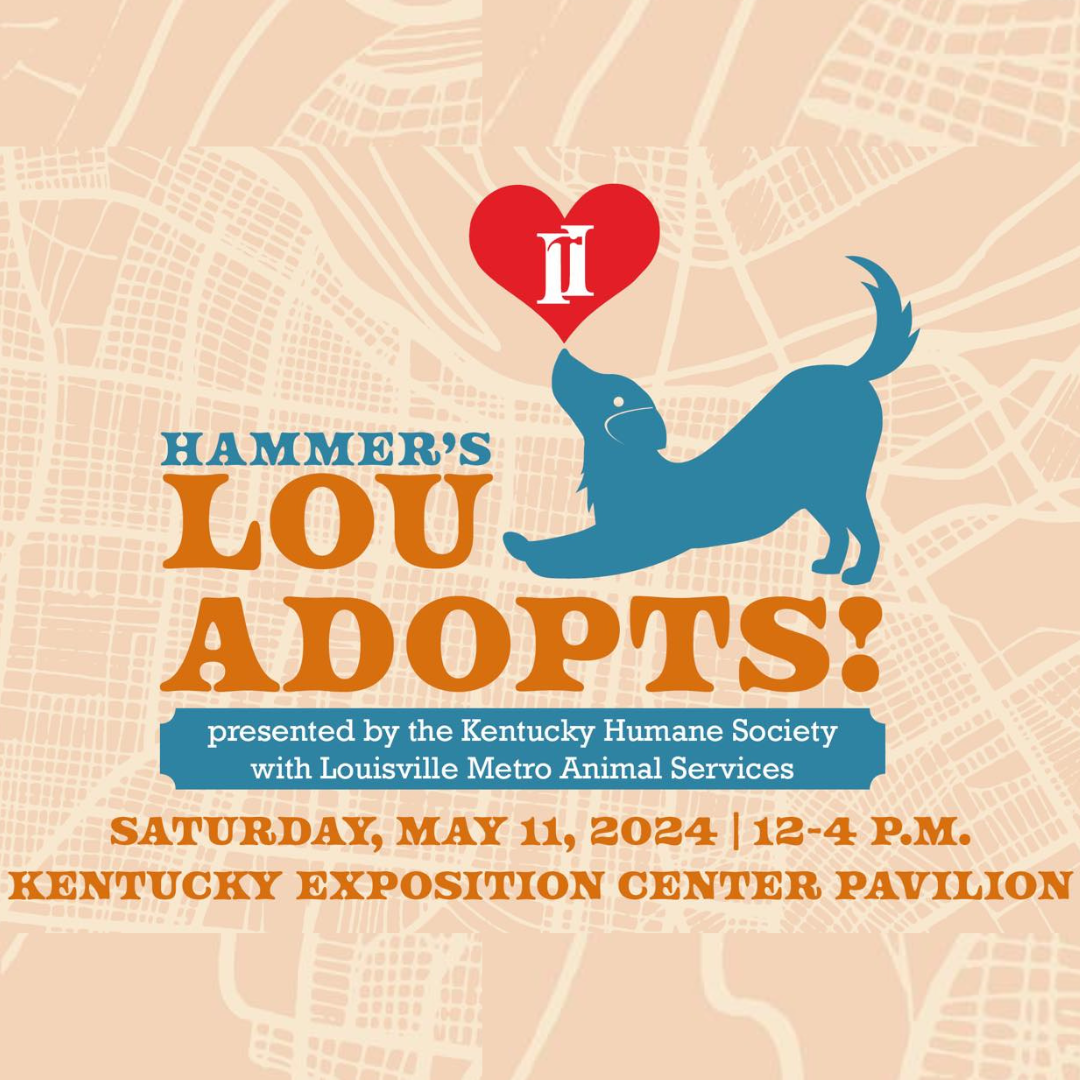 Hammers Lou Adopts May 11 flyer