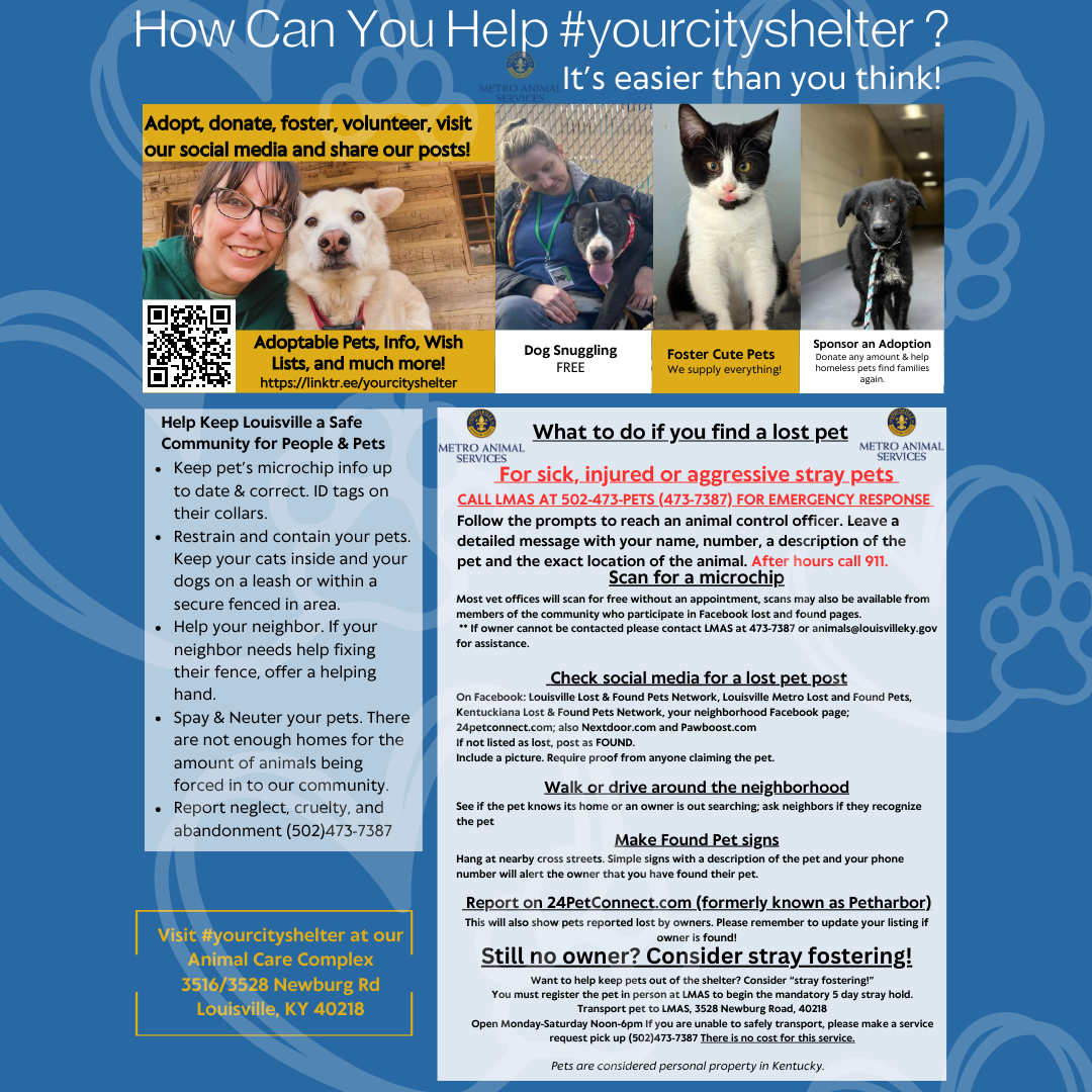 help stray animals 2024