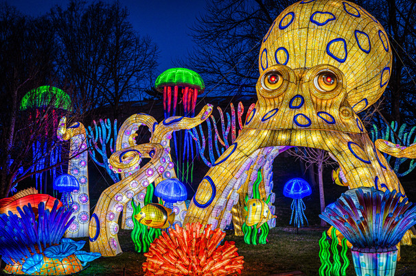 Louisville Zoo Announces ‘Wild Lights’ Event Extension and Photo Contest