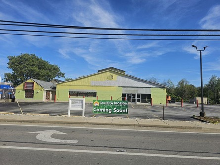 rainbowblossombrownsborord