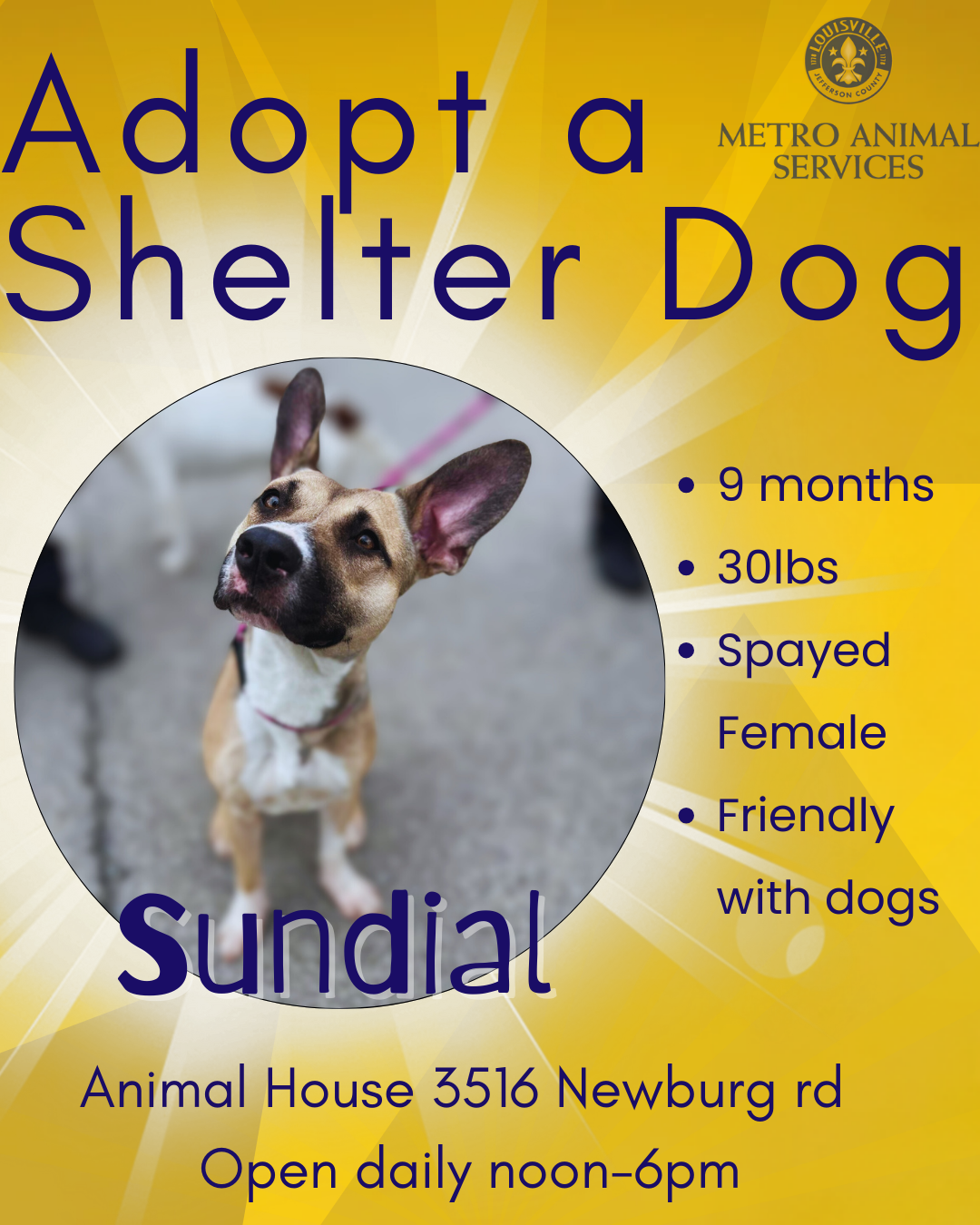 Adopt Sundial