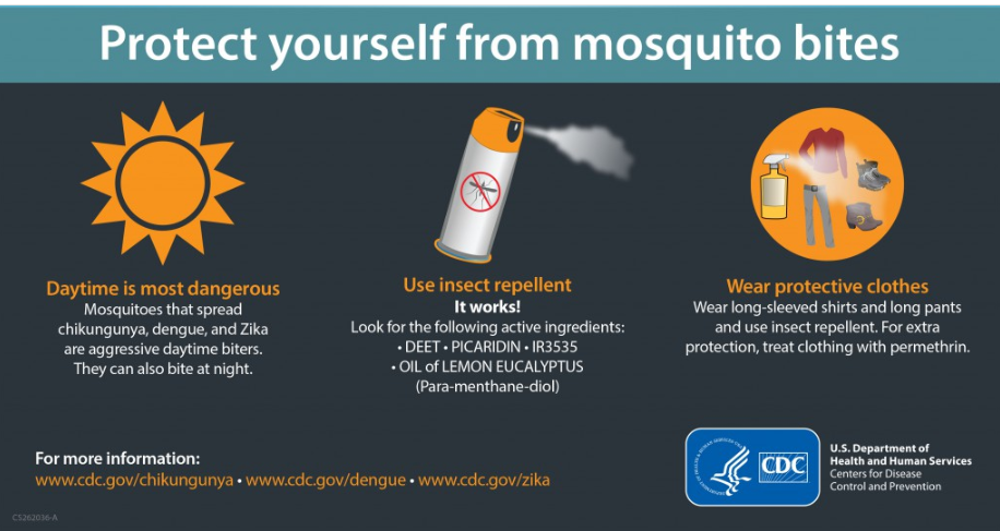 Mosquito prevention at home 