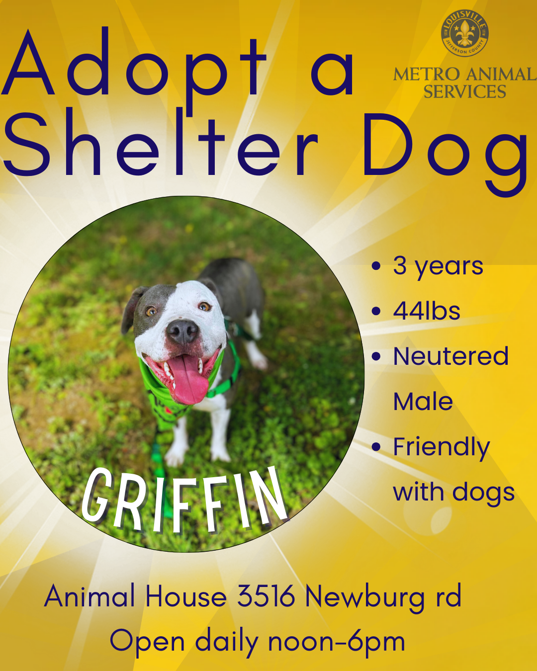 Adopt a Shelter Dog