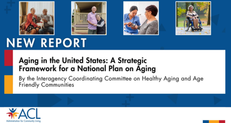 strategic framework report