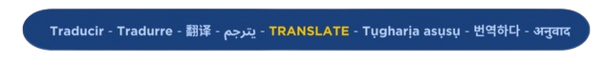 translate button