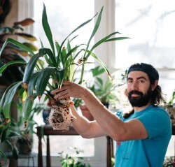 Whitehall to Offer Orchid-Growing Class