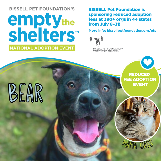 Bissell empty the shelters ad 