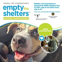 Empty the Shelters