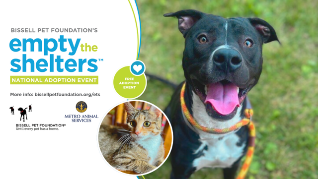 Operation Empty the Shelters!