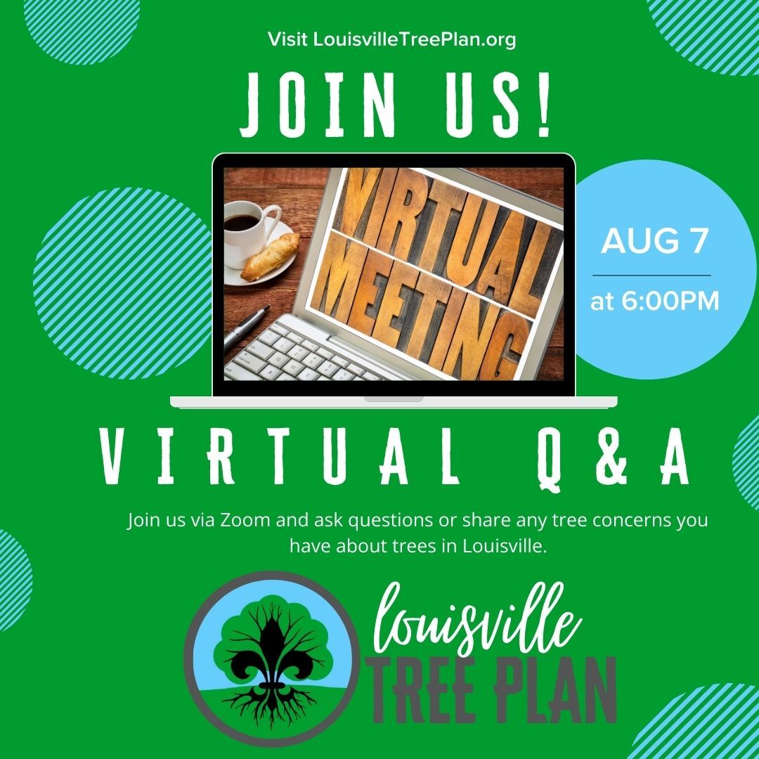 virtual options for tree plan