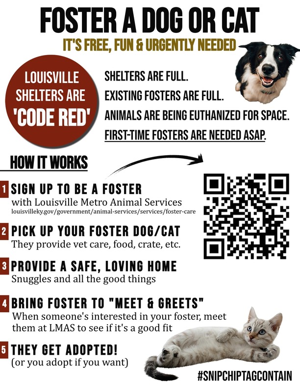 Foster a cat or dog for LMAS