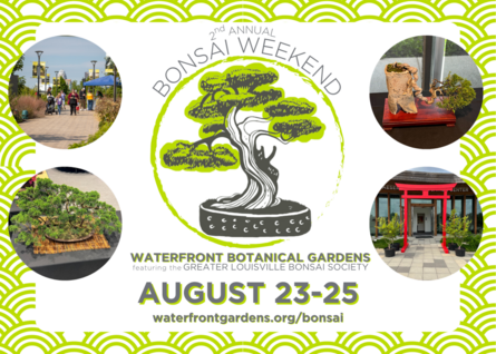 2nd Annual Bonsai Weekend at Waterfront Botanical