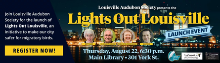 Flyer for Louisville Audubon: Lights Out Louisville Launch, Screening of Cornell’s “Lights Out Texas” & Q&A