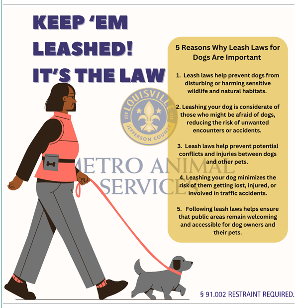 keep your dog on a leash in public image