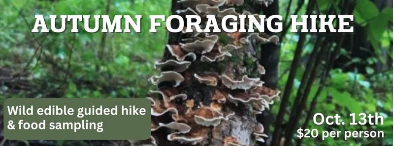 Autumn Foraging Hike