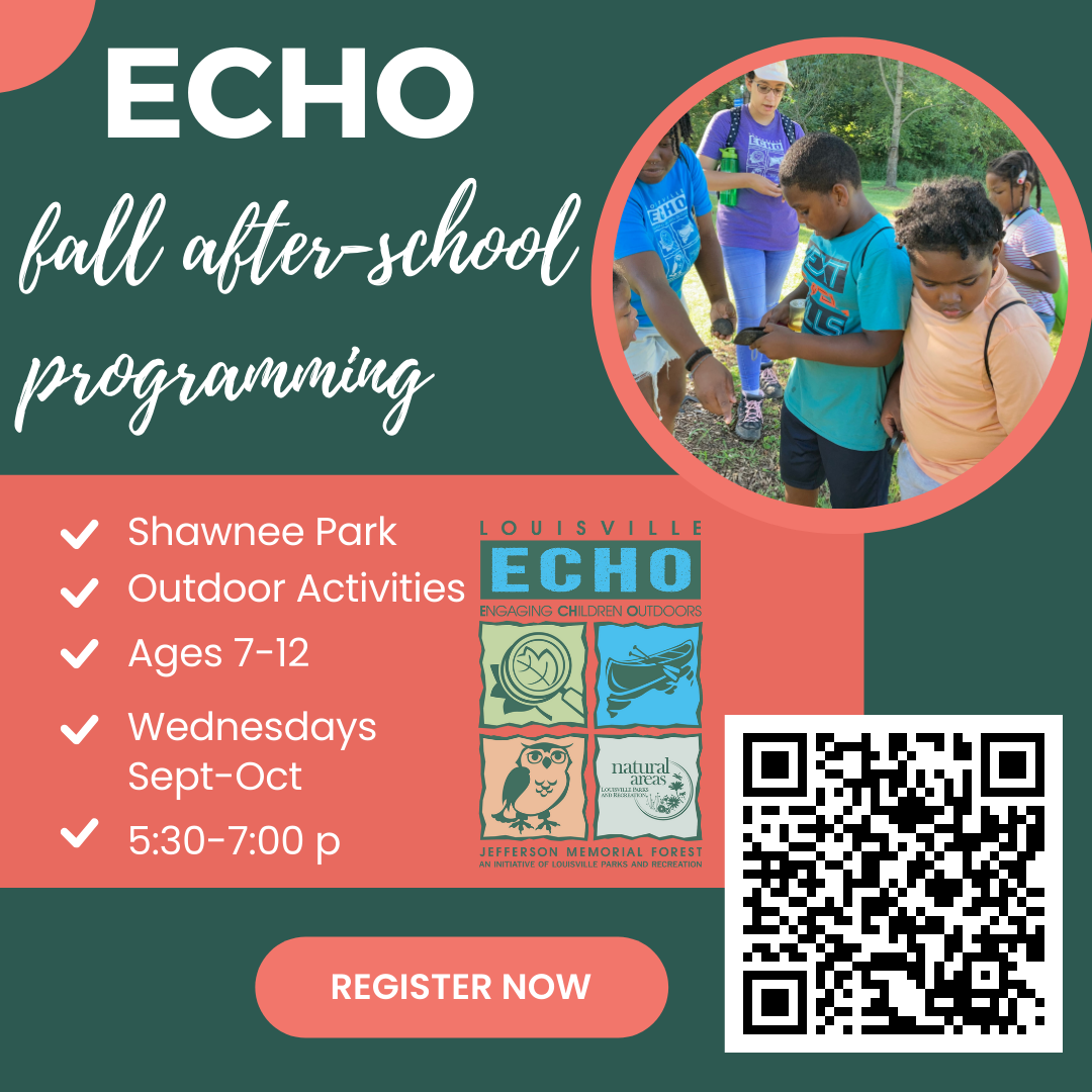 ECHO Flyer