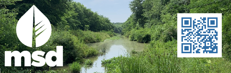 msd