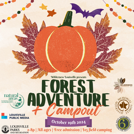 forest adventure and camp poster