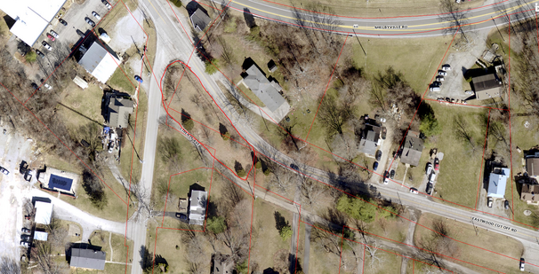 Eastwood Tree Clearing