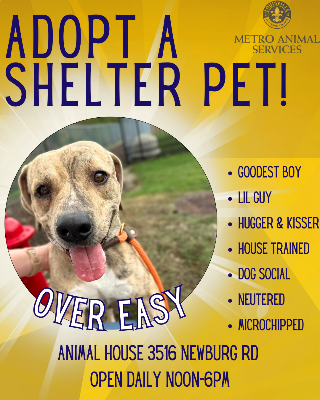 Adopt a pet oct 2024