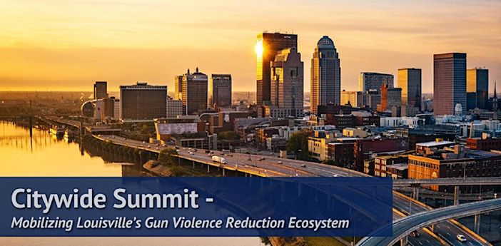 summit on gun violence reduction banner