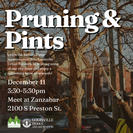 Pruning and Pints ad