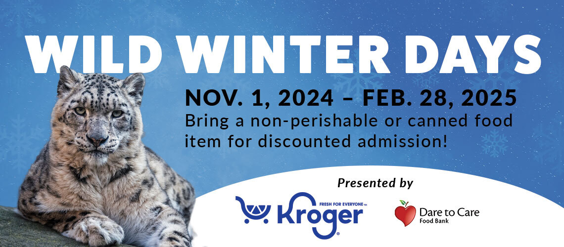 Wild winter days at the Zoo